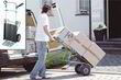 Система для транспортировки TS 1000 Wolfcraft. Фото-6